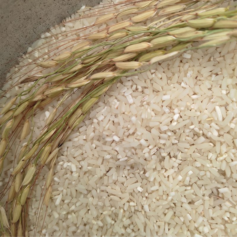 برنج شکسته هاشمی 10 کیلوگرم