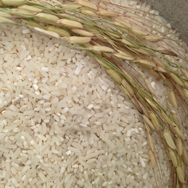 برنج شکسته هاشمی 5 کیلوگرم