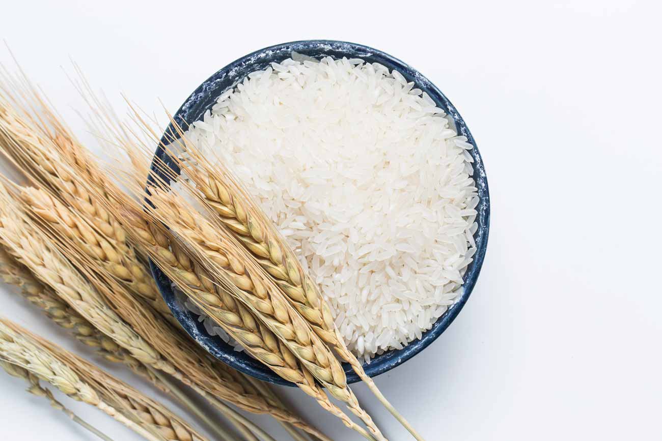 نحوه ازبین بردن حشره برنج در پخش عمده برنج