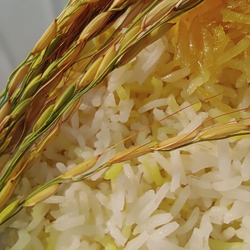 برنج شیرودی درجه یک 5 کیلوگرم