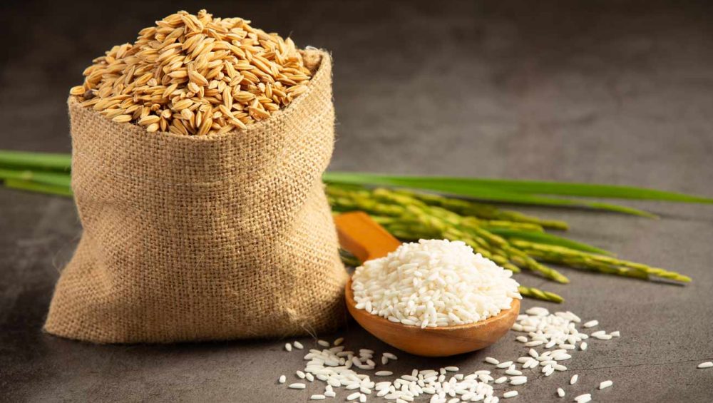 پخش عمده برنج-روش نگهداری برنج
