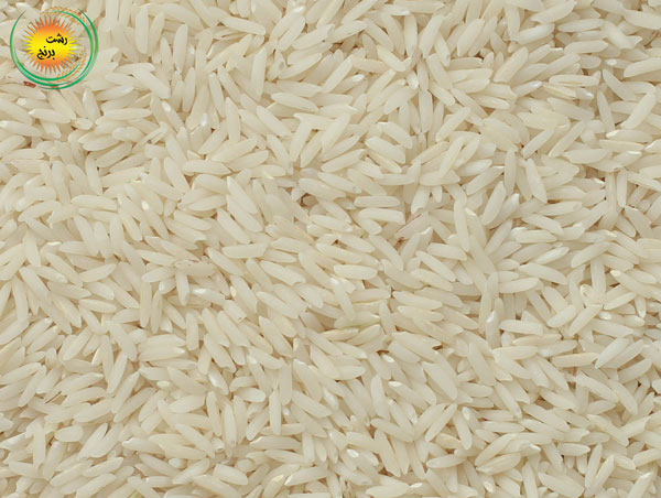 خرید عمده برنج هاشمی از شمال