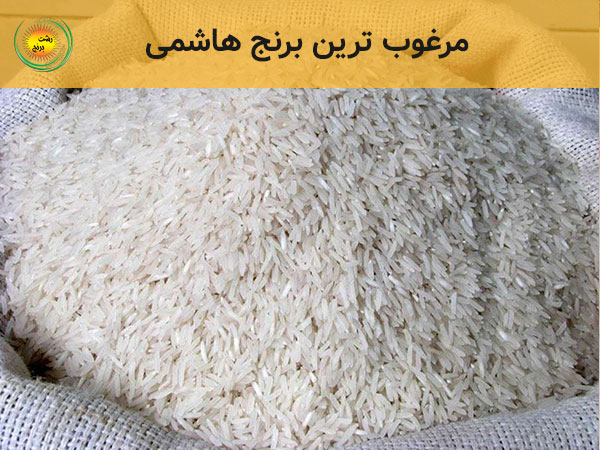 مرغوب ترین برنج هاشمی