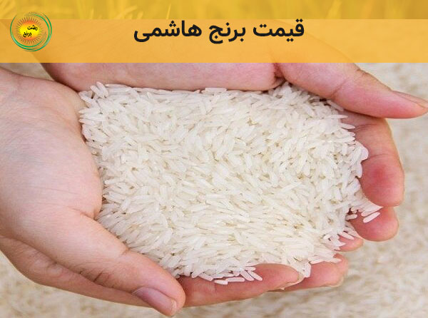قیمت برنج هاشمی 1401