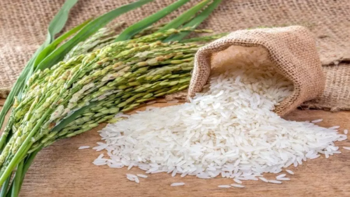 برنج ایرانی در برخی از کشورهای جهان