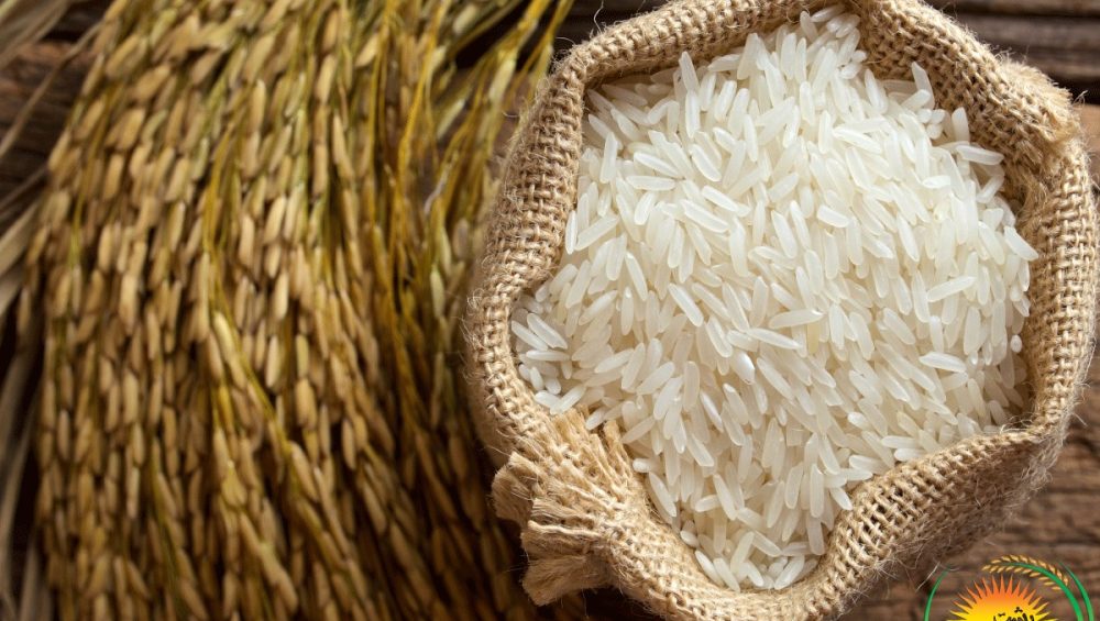 برنج پاکستانی