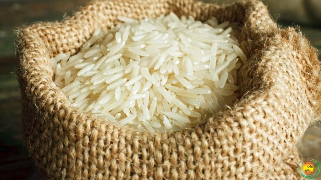 برنج خزر